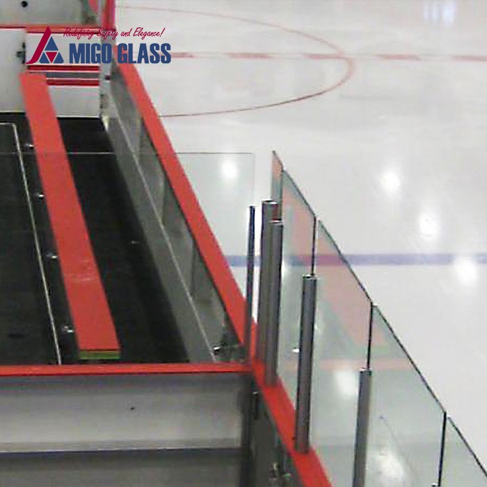 Ice Hockey rink shield